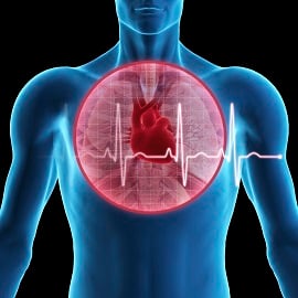 3D image of a person's heart with a red circle around it 3D image of a person's heart with a red circle around it