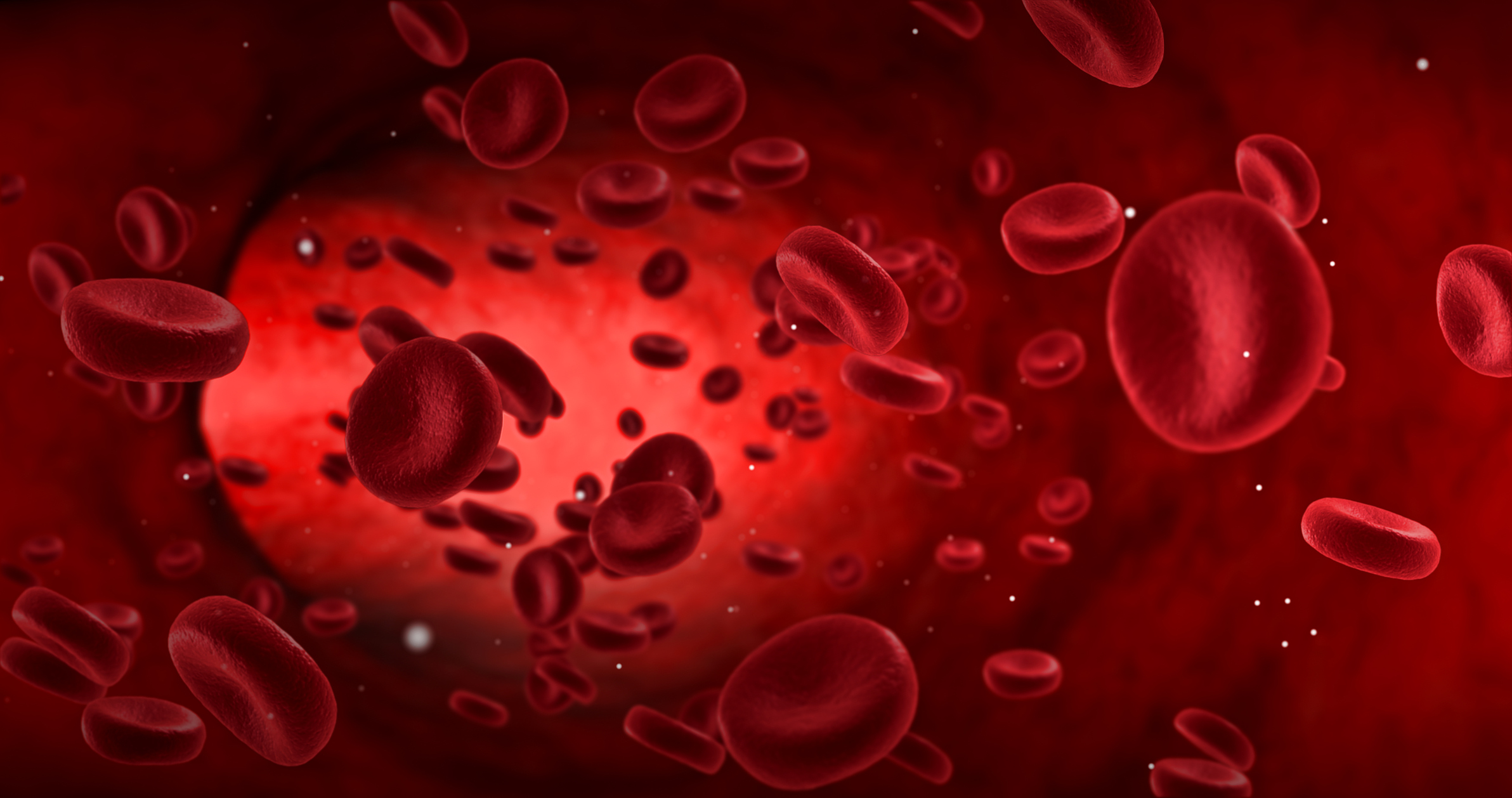 Red blood cells Red blood cells