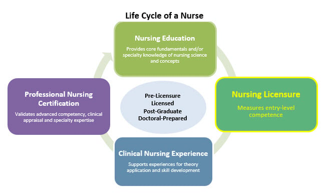 life-cycle-of-a-nurse-nursing-licensure-graphic.jpg